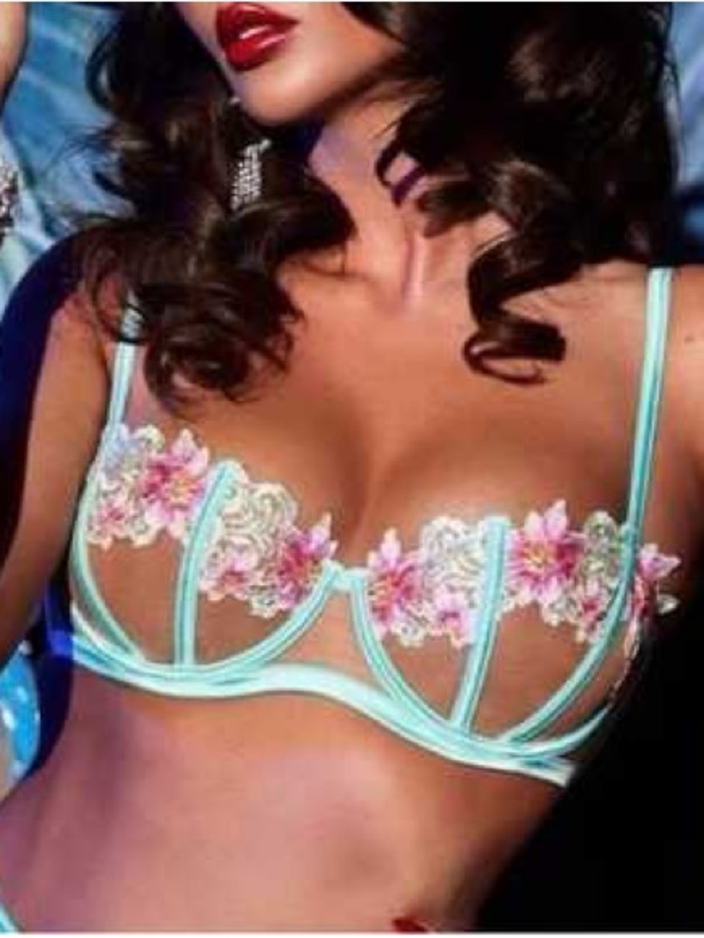 Honey Birdette Mint Sheer Lace Bralette with Pink Floral Embroidery